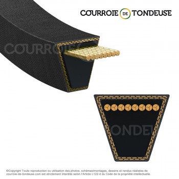 Le modèle de Courroie de tondeuse spécifique 29X45.1/32 - 29X45.1/32