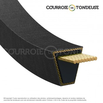 Le modèle de Courroie de tondeuse spécifique 29X45.1/32 - 29X45.1/32