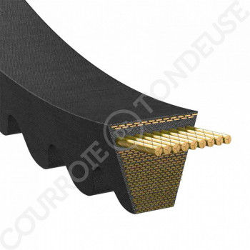 Le modèle de Courroie trapézoïdale crantée AVX13x1550La ou 3A1550 - AVX13X1550-OPTIBELT