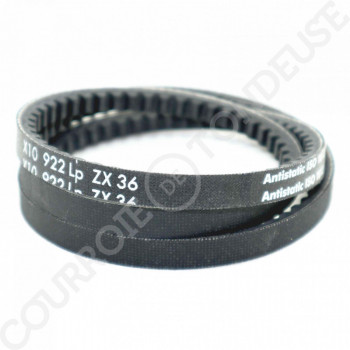 Le modèle de Courroie type trapézoïdale crantée ZX36 - ZX36-OPTIBELT