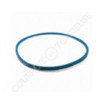 Courroie BOLENS 1715010 - 1746379