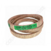 Courroie BOLENS 50161 - 1715972 - 1726929