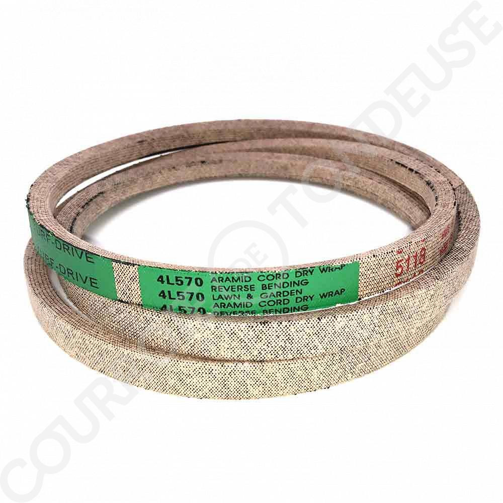 HAYTER M10/30 HÉRITAGE Mi Moteur Manuel Transition 37X110 Ceinture Webb