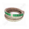 Courroie SIMPLICITY 174687 - 1651201
