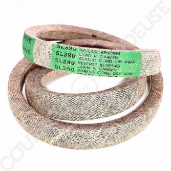 Le modèle de Courroie HONDA (GGP) 22431-719-690 - 5L390