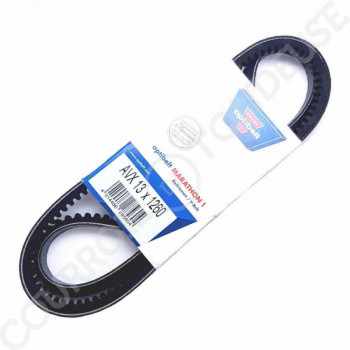 Le modèle de Courroie trapézoïdale crantée AVX13x1260La ou 3A1260 - AVX13X1260-OPTIBELT