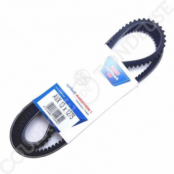 Le modèle de Courroie trapézoïdale crantée AVX13x1275La ou 3A1275 - AVX13X1275-OPTIBELT