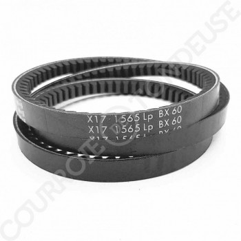 Le modèle de Courroie type trapézoïdale crantée BX60 - BX60-OPTIBELT