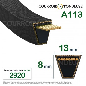 Le modèle de Courroie type trapézoïdale lisse A113 - A113-MEGADYNE