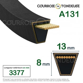 Le modèle de Courroie type trapézoïdale lisse A131 - A131