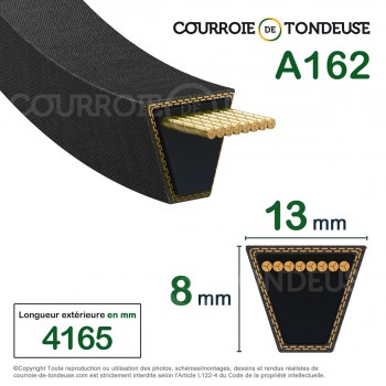 Le modèle de Courroie type trapézoïdale lisse A162 - A162-MEGADYNE