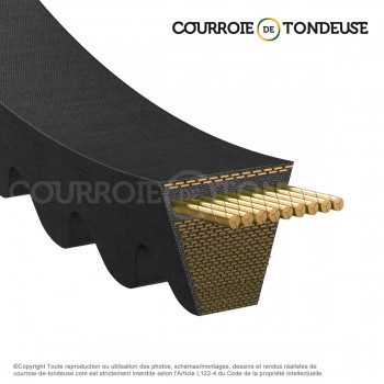 Le modèle de Courroie type trapézoïdale crantée AX54 - AX54-OPTIBELT