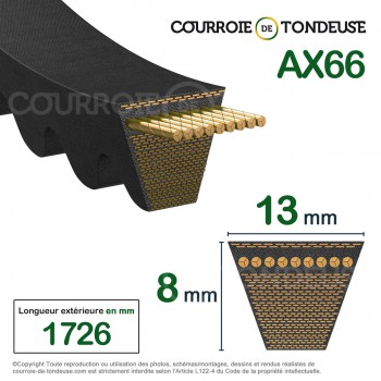 Le modèle de Courroie type trapézoïdale crantée AX66 - AX66-OPTIBELT