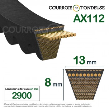 Le modèle de Courroie type trapézoïdale crantée AX112 - AX112-MEGADYNE