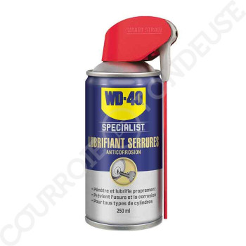 Le modèle de Lubrifiant Serrures WD40 Specialist 250 ml - WD40-33303/NBA