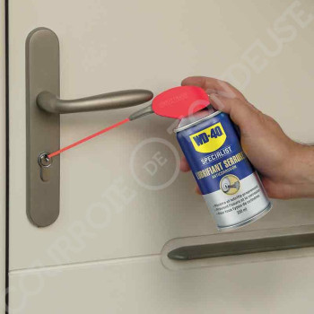 Le modèle de Lubrifiant Serrures WD40 Specialist 250 ml - WD40-33303/NBA