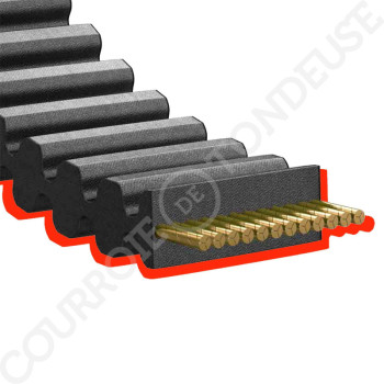 Le modèle de Courroie tondeuse double dentée 1800-S8M16DD qualité pro - 1800-S8M16DD-HQ