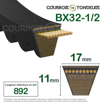 Le modèle de Courroie type trapézoïdale crantée BX32-1/2 - BX32.5