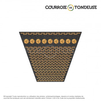 Le modèle de Courroie type trapézoïdale crantée BX95 - BX95-CONTITECH