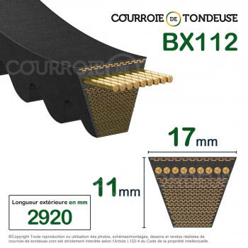 Le modèle de Courroie type trapézoïdale crantée BX112 - BX112-CONTITECH