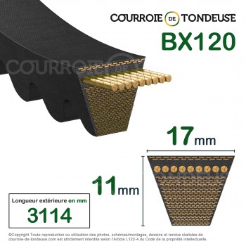 Le modèle de Courroie type trapézoïdale crantée BX120 - BX120-MEGADYNE