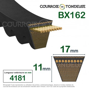 Le modèle de Courroie type trapézoïdale crantée BX162 - BX162-MEGADYNE