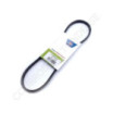 Courroie BOLENS 60070 - 1715612 - 1185481 - 1185487