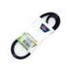 Courroie BOLENS 1108467 - 1716571 - 1725253 - 1736259