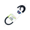 Courroie pour traction hydrostatique CASTEL GARDEN / GGP 35061405/0
