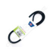 Courroie MTD 7540116 - 7540207 - 7540428