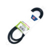 Courroie BOLENS 1722523