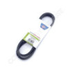 Courroie pour coupe CASTEL GARDEN / GGP 35061423/0 - 1350614230