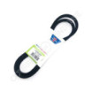 Courroie AYP/ROPER 25667 - 43797