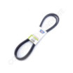 Courroie BOLENS 213676 - 1716551 - 1716557