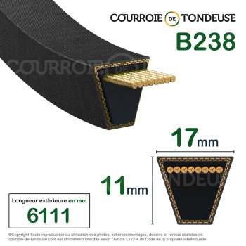 Le modèle de Courroie type trapézoïdale lisse B238 - B238-MEGADYNE