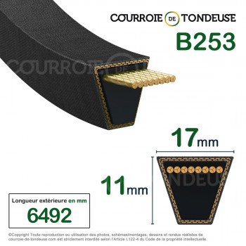 Le modèle de Courroie type trapézoïdale lisse B253 - B253-TEXROPE