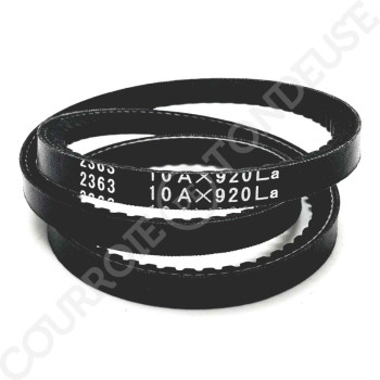 Le modèle de Courroie de dynamo MOTOSTANDARD 75313 - AVX10X920