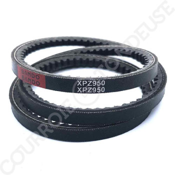 Le modèle de Courroie STAFOR 33019 - XPZ950