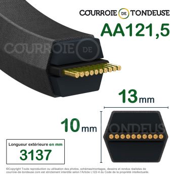 Le modèle de Courroie de tondeuse hexagonale AA121,5 - AA121,5T