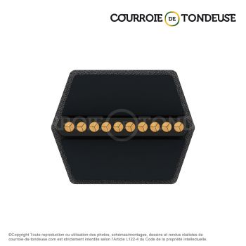 Le modèle de Courroie de tondeuse hexagonale AA121,5 - AA121,5T