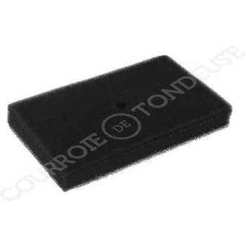 Le modèle de Pré filtre de tondeuse - 4223 141 0600 - 42231410600