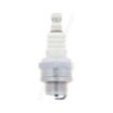 Bougie d'allumage de tondeuse NGK pack de 50 BMR6A