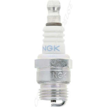 Le modèle de Bougie d'allumage de tondeuse NGK BMR6F - BMR6F