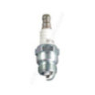 Bougie d'allumage de tondeuse NGK BPM6F