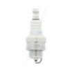 Bougie d'allumage de tondeuse NGK pack de 50 BPMR7A