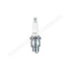 Bougie d'allumage de tondeuse NGK BPR6FS