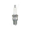 Bougie d'allumage de tondeuse NGK BR10EG