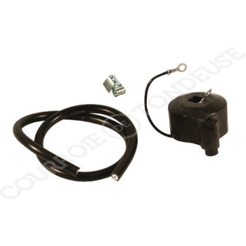 Le modèle de Bobine d'allumage Tecumseh AM30950 - FGP001202