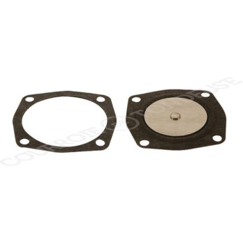 Le modèle de Membrane Tecumseh 23910004 - FGP001321
