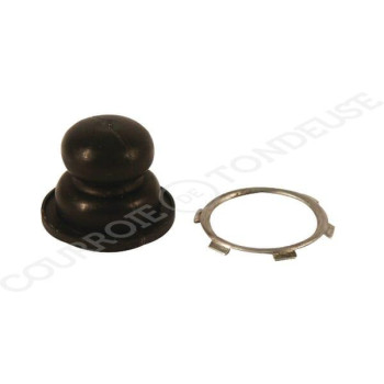Le modèle de Bulle d'amorçage Tecumseh 36045 - FGP001325